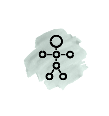 Bringing Digital Worlds to Life